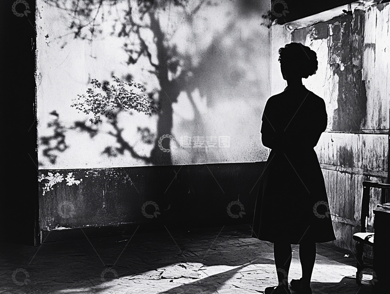 高清大图下载【趣麦麦图】窗影人影
