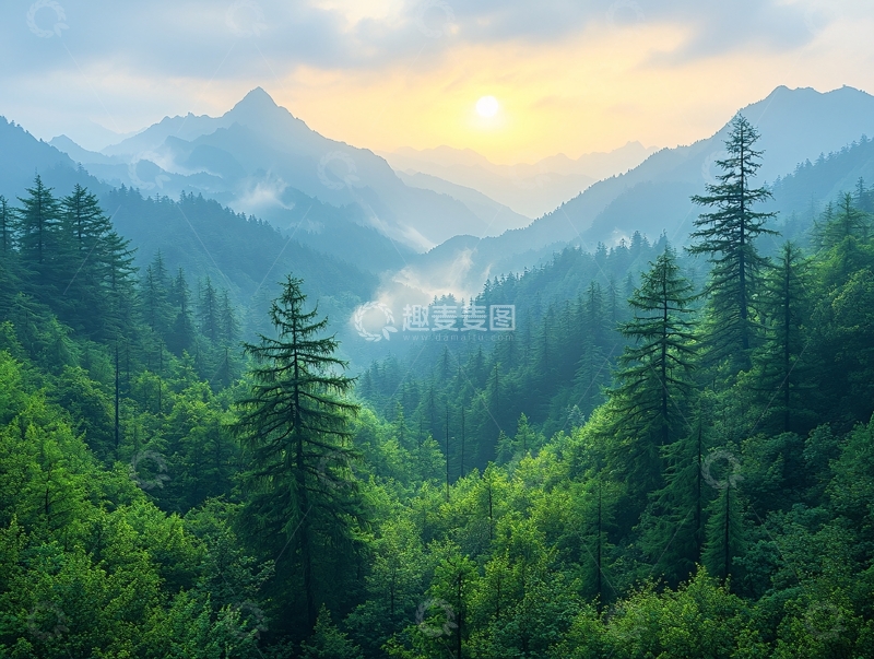 高清大图下载【趣麦麦图】清晨山林