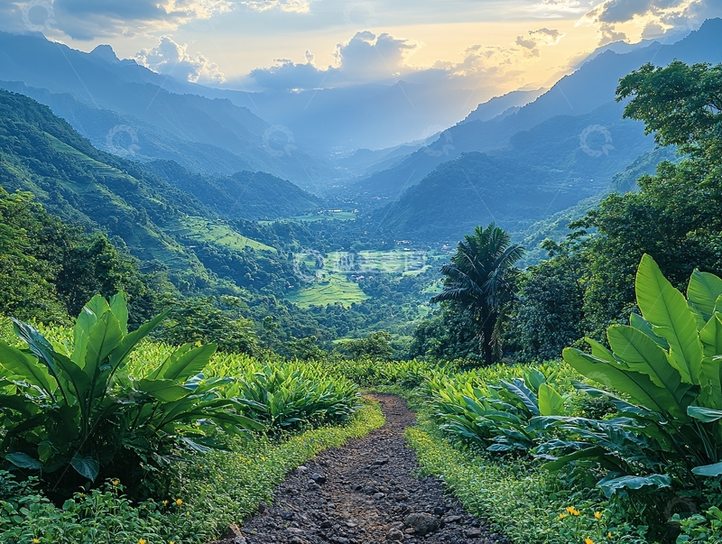 高清大图下载【趣麦麦图】山间小路林业绿色