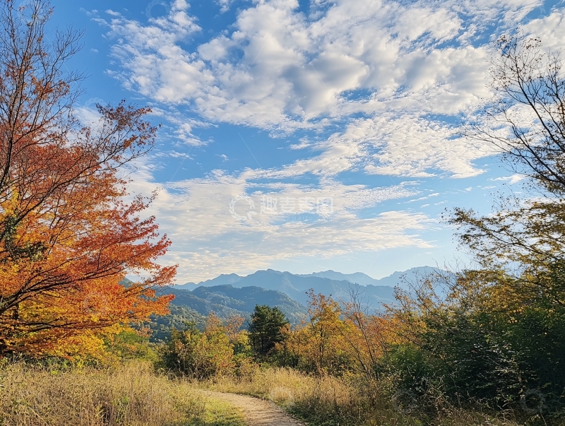 高清大图下载【趣麦麦图】秦岭秋韵