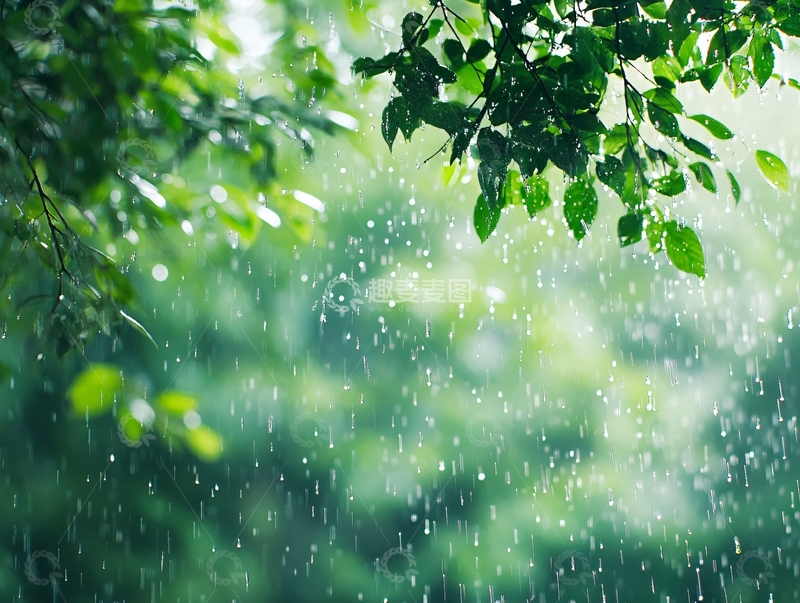 高清大图下载【趣麦麦图】唯美雨景1