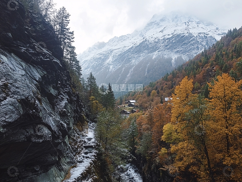 高清大图下载【趣麦麦图】森林黄叶白雪山峰