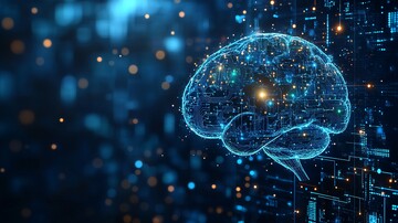 数字大脑电路图2