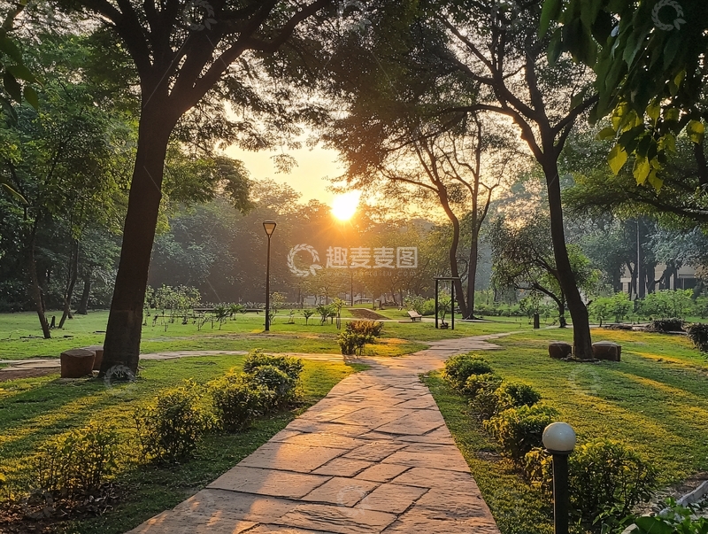 高清大图下载【趣麦麦图】植物园晨曦