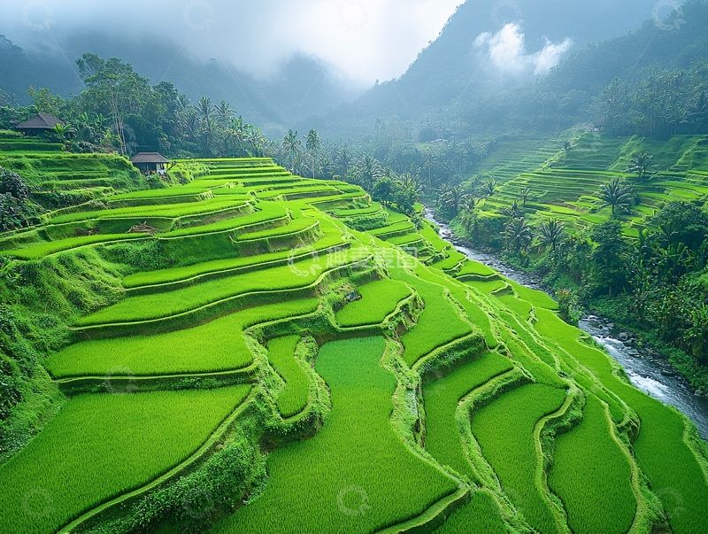 高清大图下载【趣麦麦图】绿油油的梯田