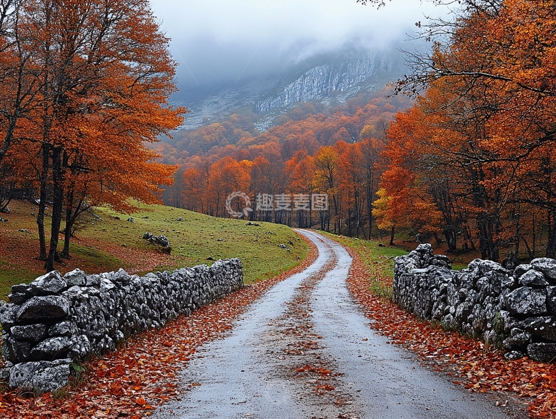 高清大图下载【趣麦麦图】路上秋色图片素材下载1