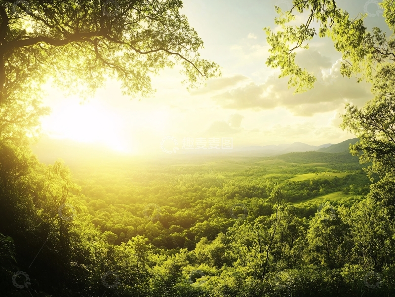 高清大图下载【趣麦麦图】密林中的落日夕阳美景