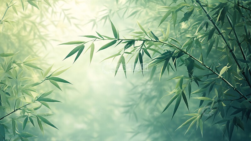 高清大图下载【趣麦麦图】竹林纤细摇曳2
