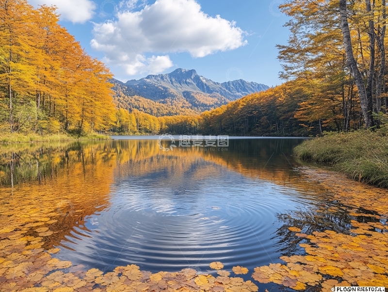 高清大图下载【趣麦麦图】金秋倒影美图4