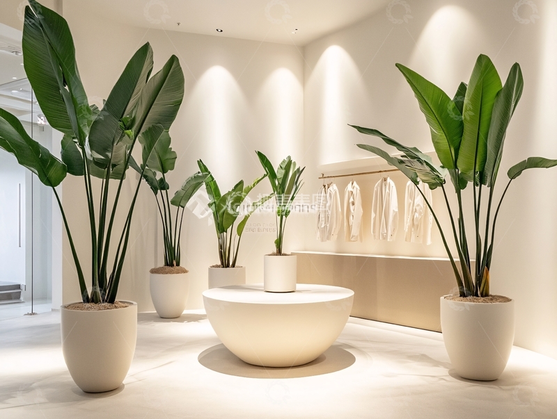 高清大图下载【趣麦麦图】-绿植店装修设计