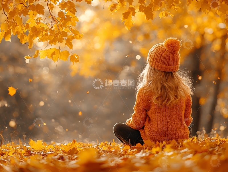 高清大图下载【趣麦麦图】秋天人物背影