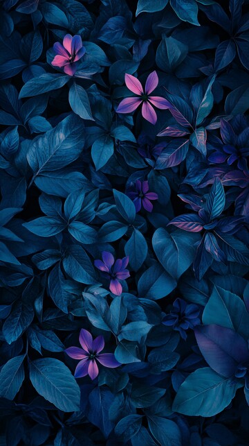 深蓝紫冬林花3