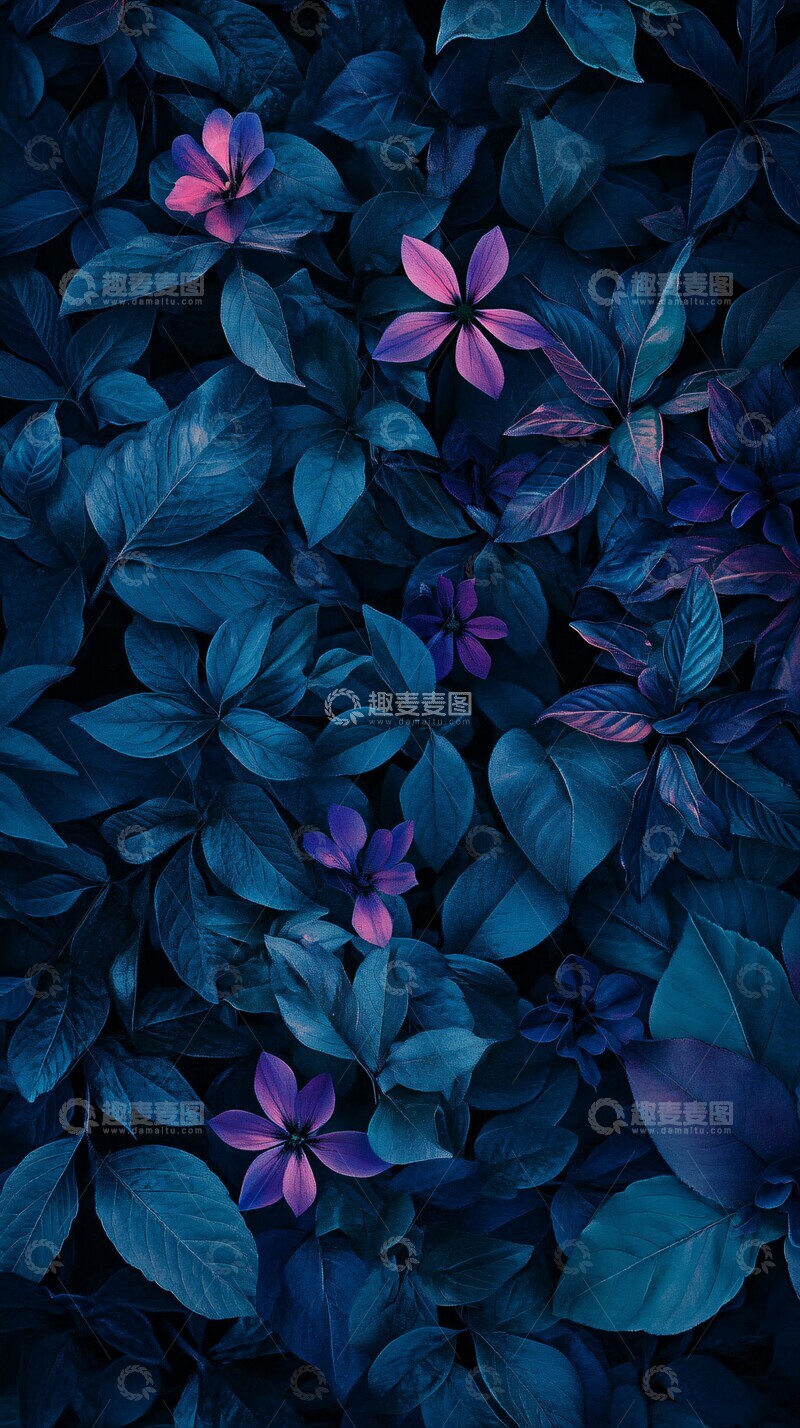 高清大图下载【趣麦麦图】深蓝紫冬林花3