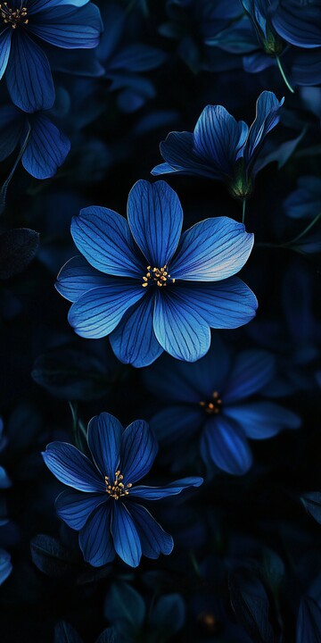 蓝花暗背景蓝花背景手机3