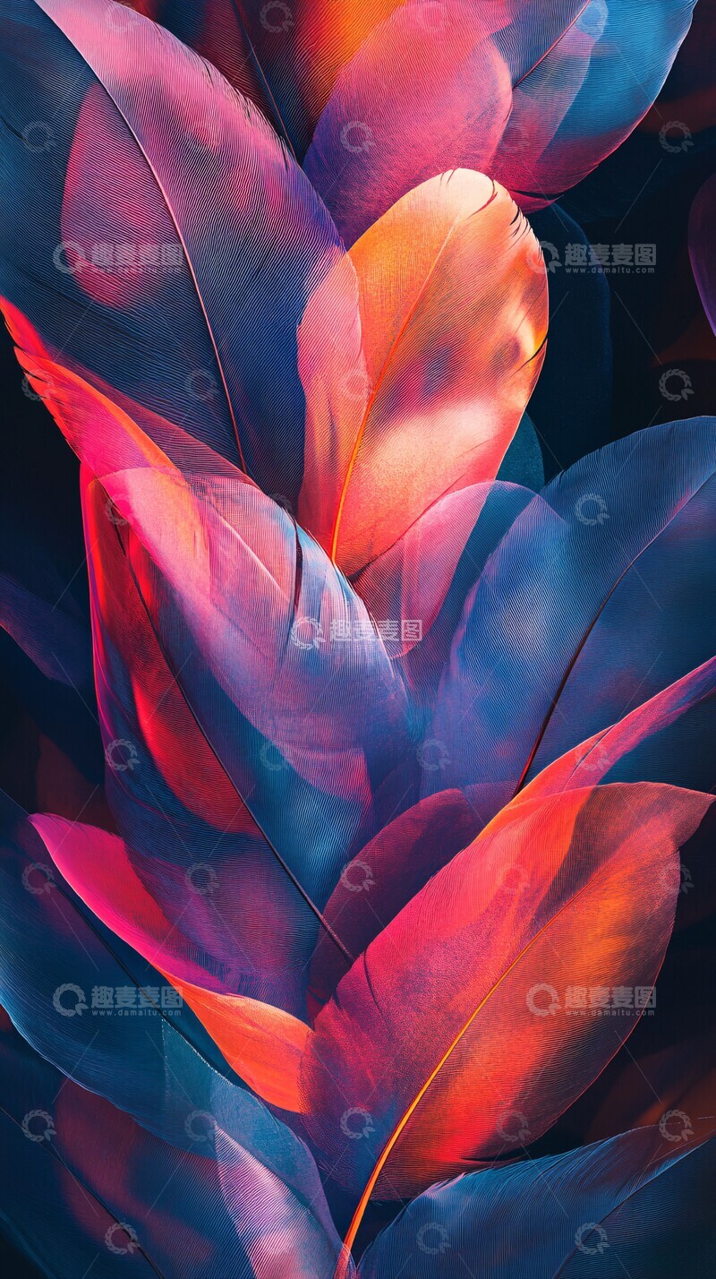 高清大图下载【趣麦麦图】羽毛梦幻装置3