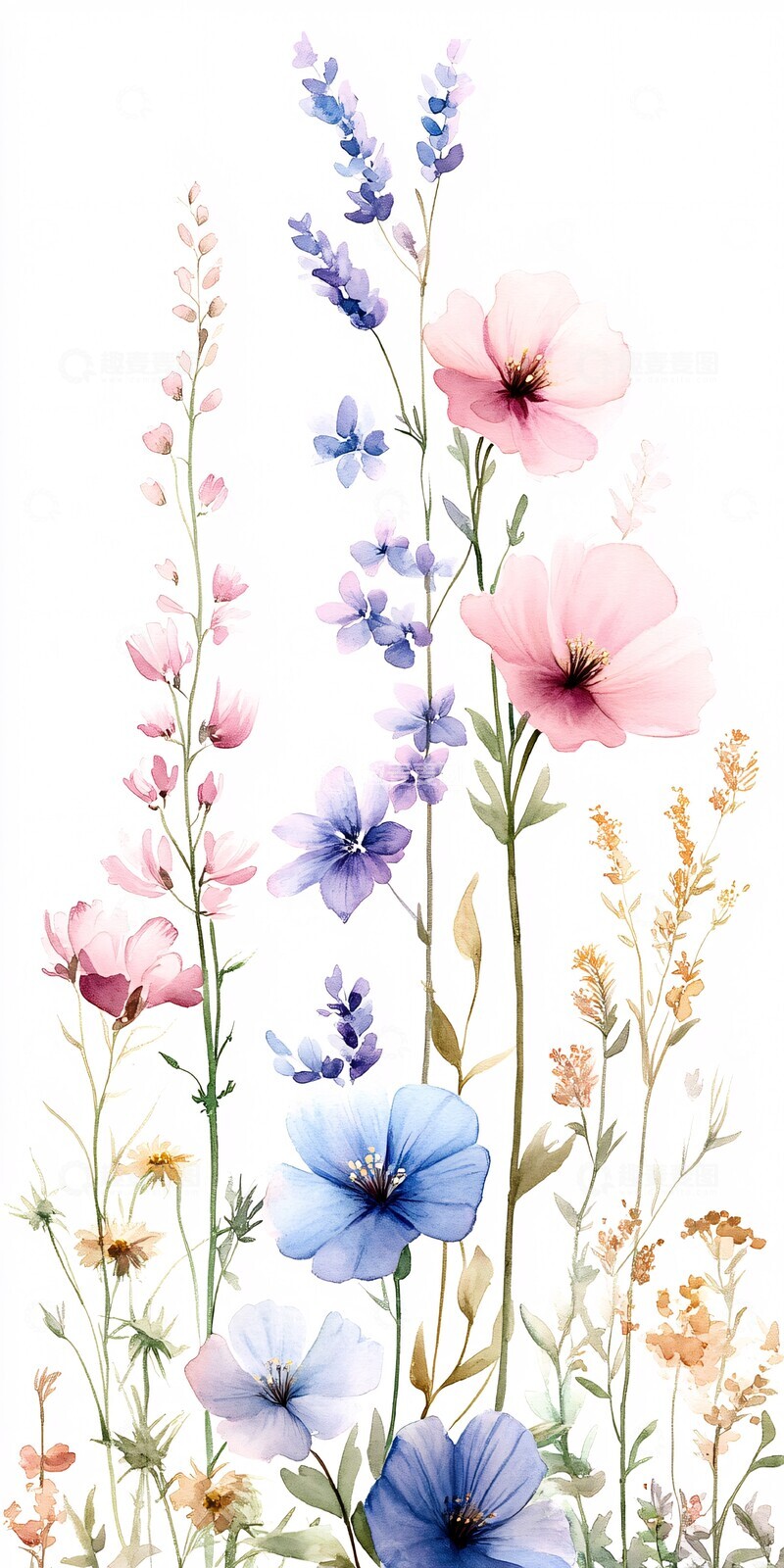 高清大图下载【趣麦麦图】水彩野花图案