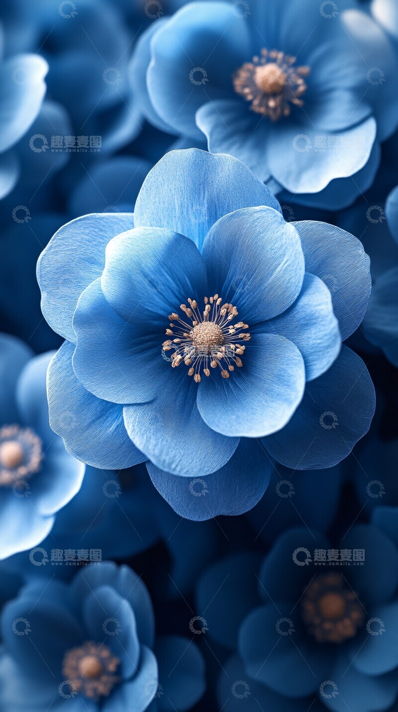 高清大图下载【趣麦麦图】蓝色花瓣满布1