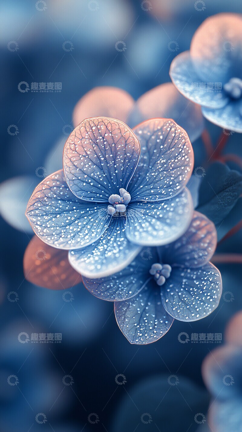 高清大图下载【趣麦麦图】蓝色花瓣满布3