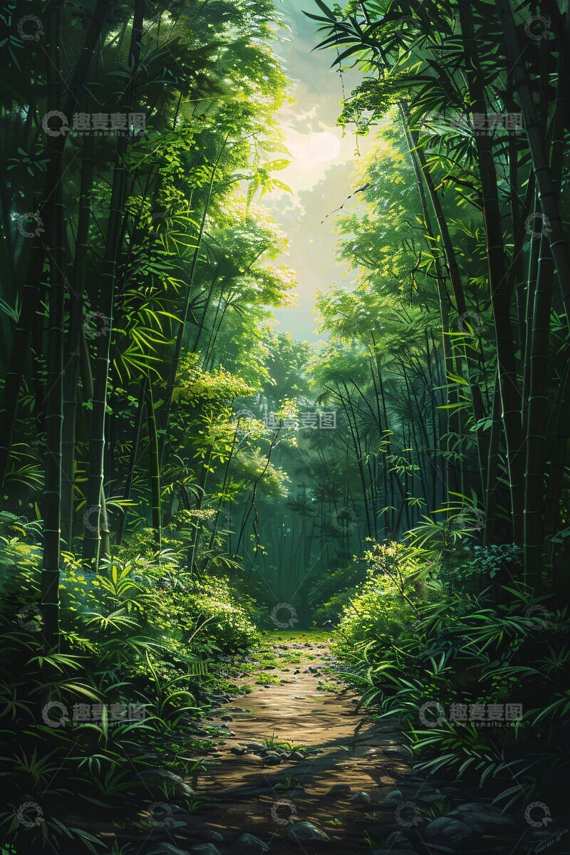 高清大图下载【趣麦麦图】竹林深处深处自然细节
