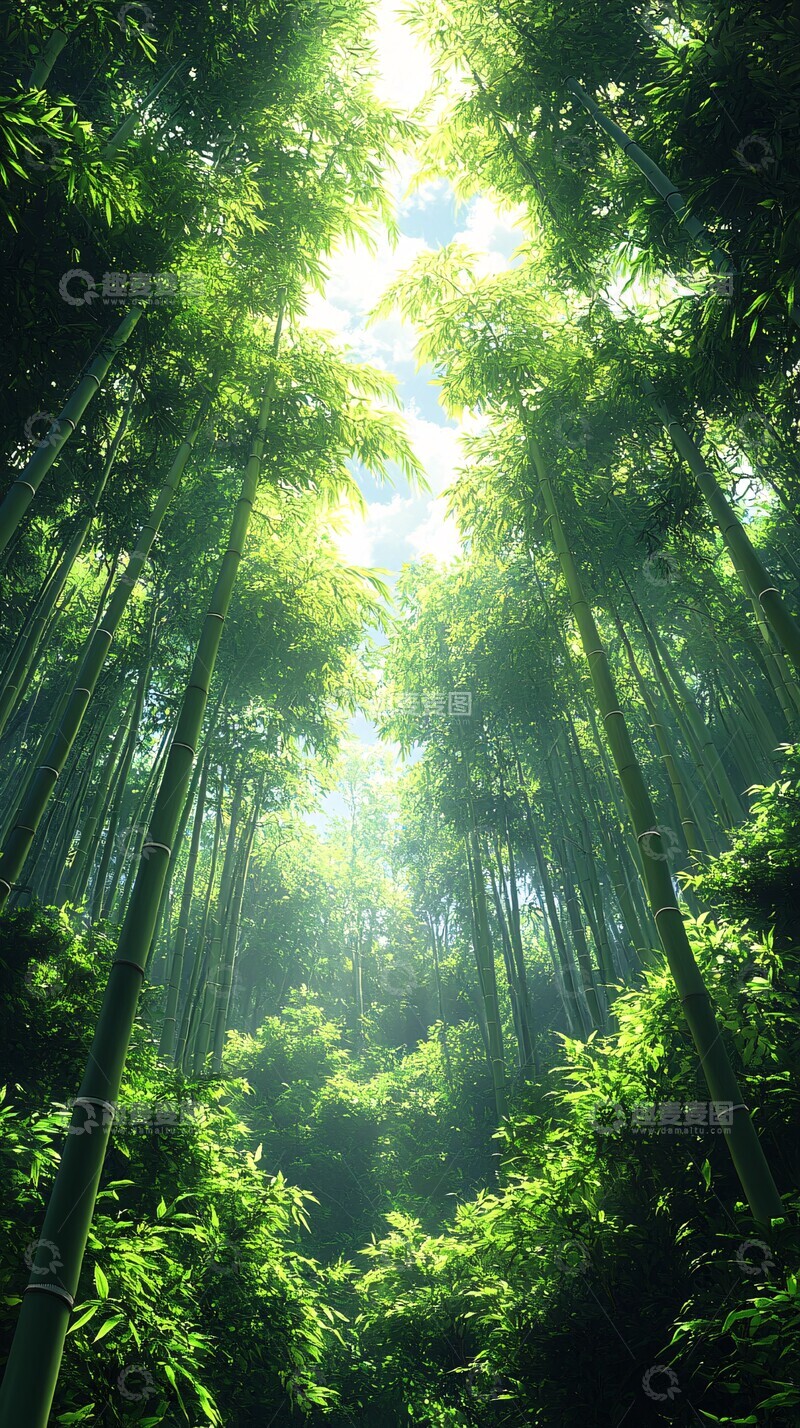 高清大图下载【趣麦麦图】竹林茂盛茂盛森林树木