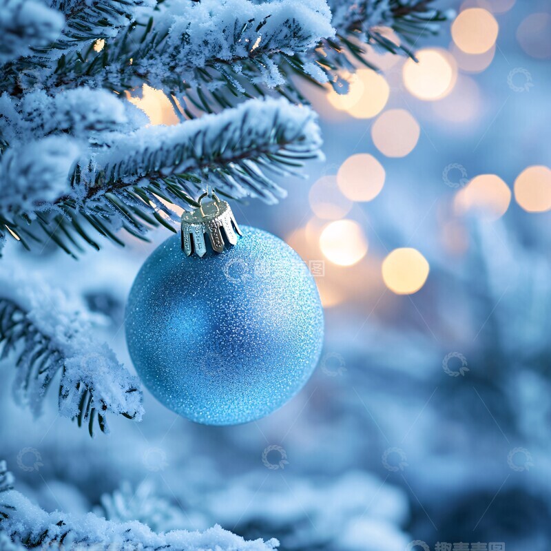 高清大图下载【趣麦麦图】蓝球雪花树枝3
