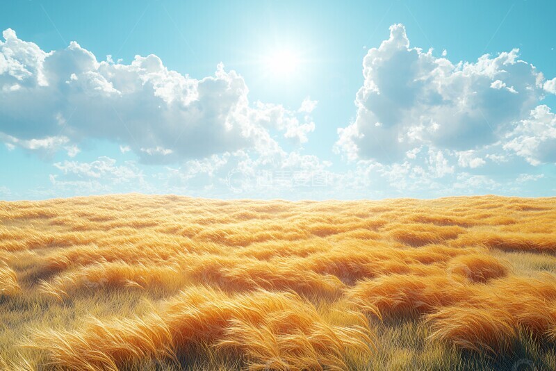 高清大图下载【趣麦麦图】-金色麦田金色麦田阳光1