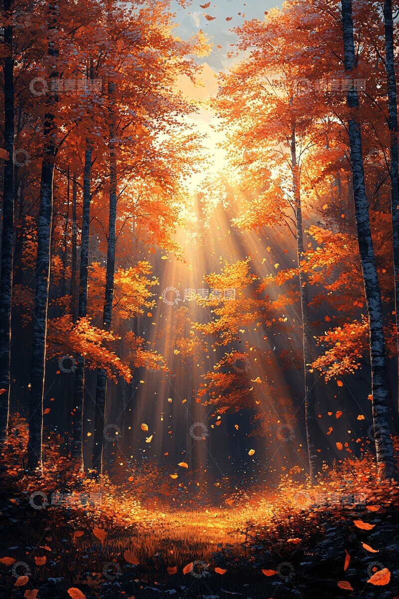 高清大图下载【趣麦麦图】秋叶阳光树影