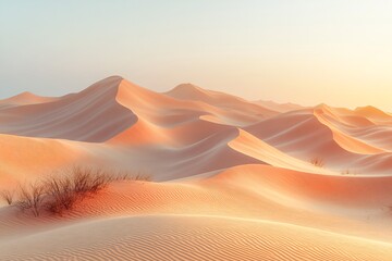 柔沙轻影映晴空3