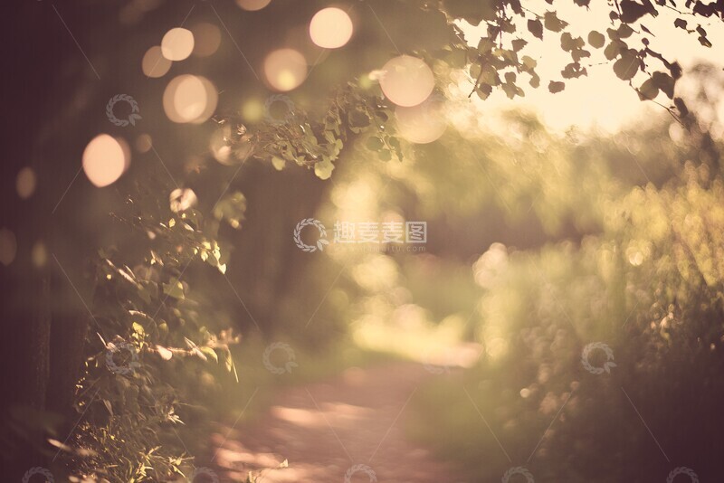 高清大图下载【趣麦麦图】柔和光晕背景2