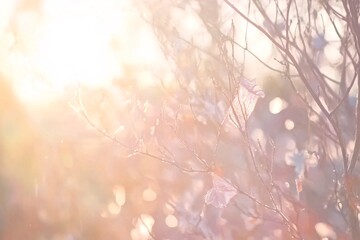 柔和光晕背景3