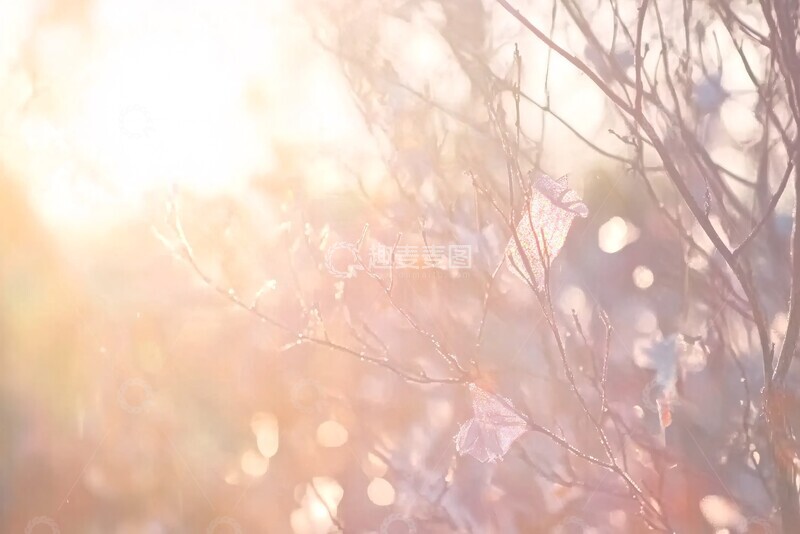 高清大图下载【趣麦麦图】柔和光晕背景3