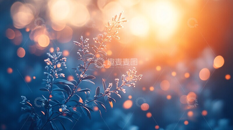 高清大图下载【趣麦麦图】卡罗尔蓝调光晕