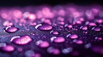 紫色雨滴紫色雨滴背景
