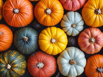 秋日南瓜集秋日南瓜形状1