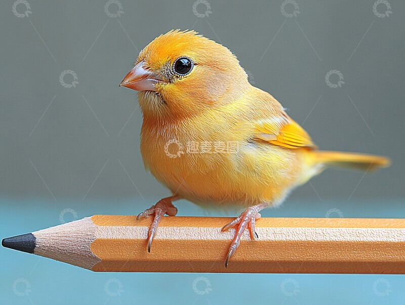 高清大图下载【趣麦麦图】鸟与笔的对话1