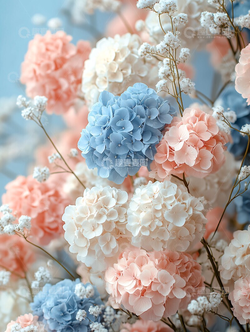 高清大图下载【趣麦麦图】花艺布置花艺布置花卉2