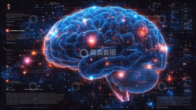 高清大图下载【趣麦麦图】脑部扫描艺术3