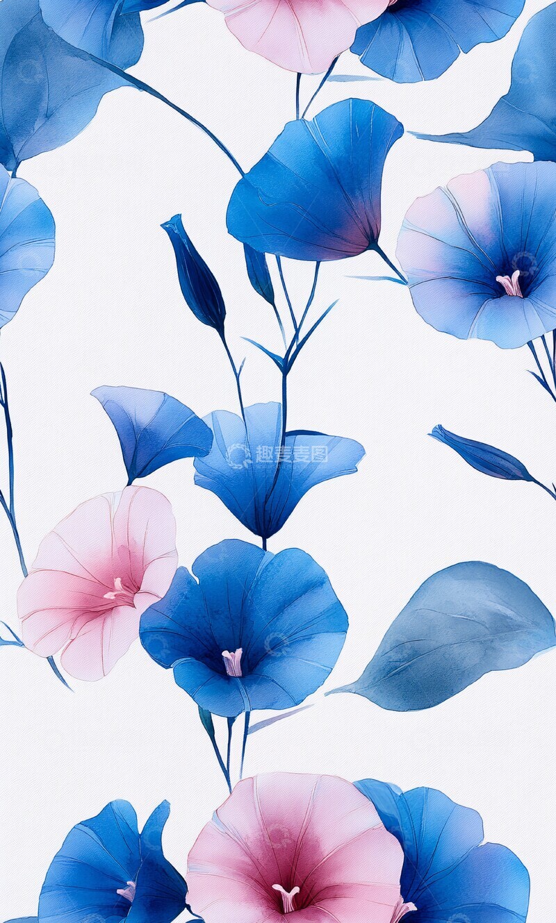 高清大图下载【趣麦麦图】晨光中的牵牛花3