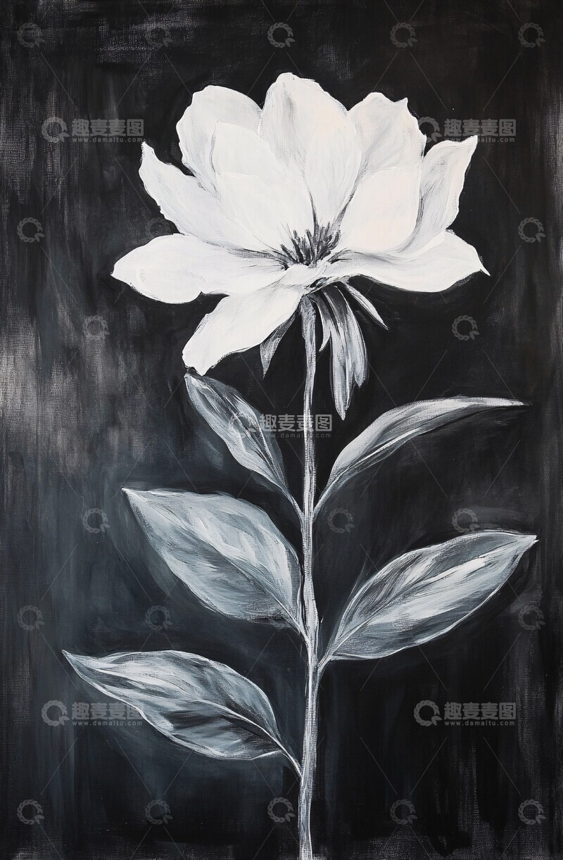 高清大图下载【趣麦麦图】黑白花卉油画3