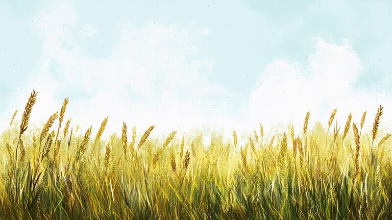 高清大图下载【趣麦麦图】麦田纹理插图3
