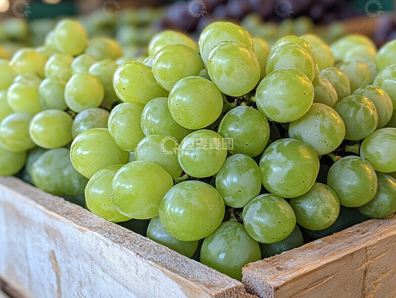 高清大图下载【趣麦麦图】大绿葡萄堆积1