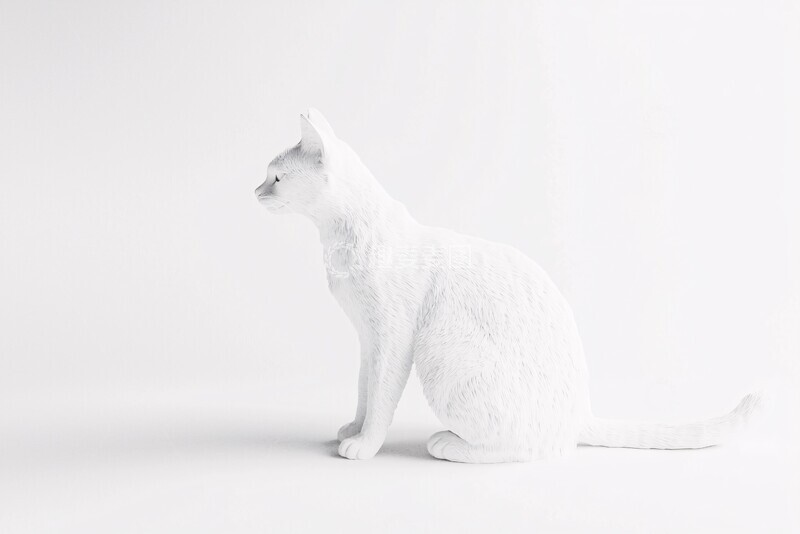 高清大图下载【趣麦麦图】白色背景三维猫2