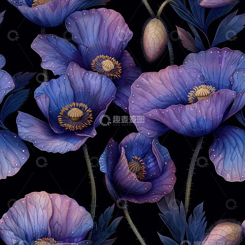 高清大图下载【趣麦麦图】紫色花图案紫色花朵黑色3