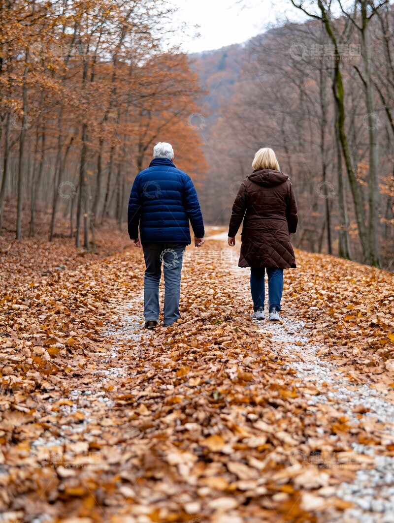 高清大图下载【趣麦麦图】秋林徒步之旅