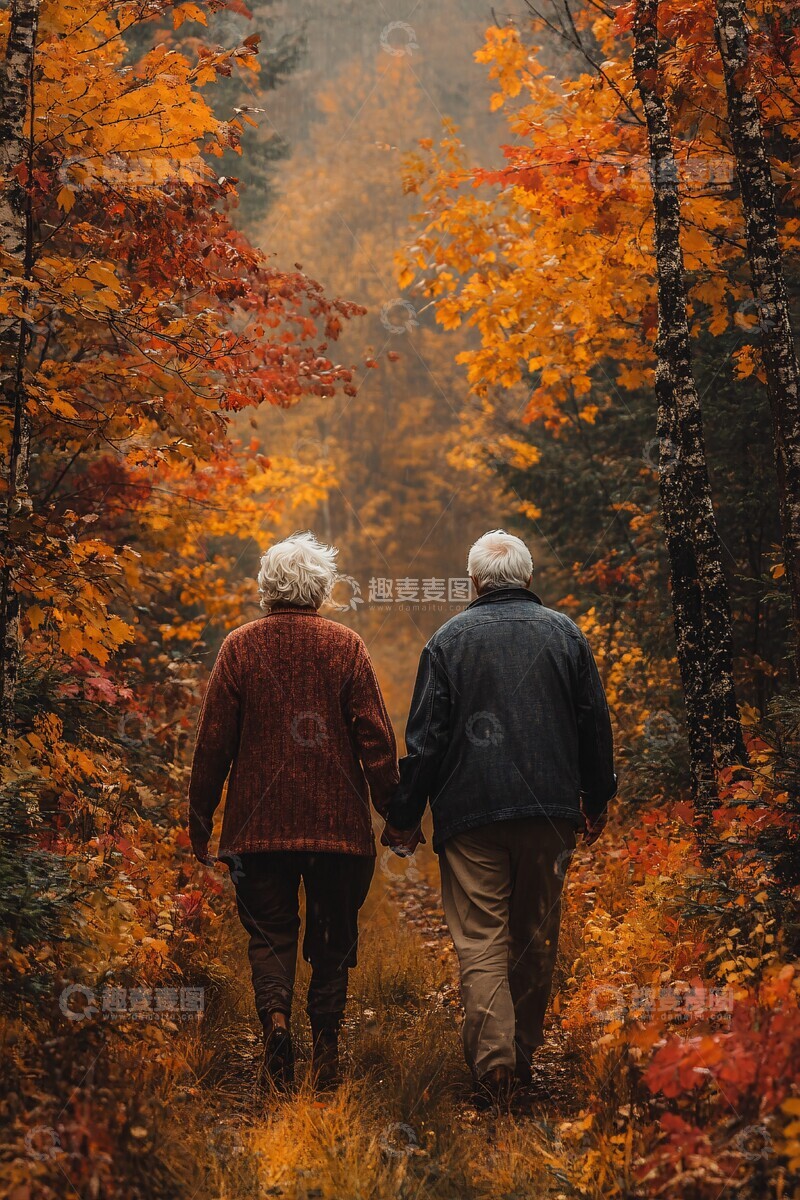 高清大图下载【趣麦麦图】秋叶林中情侣漫步