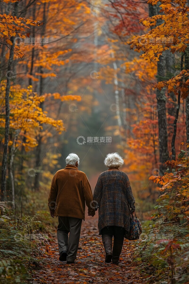 高清大图下载【趣麦麦图】秋叶林中情侣漫步2