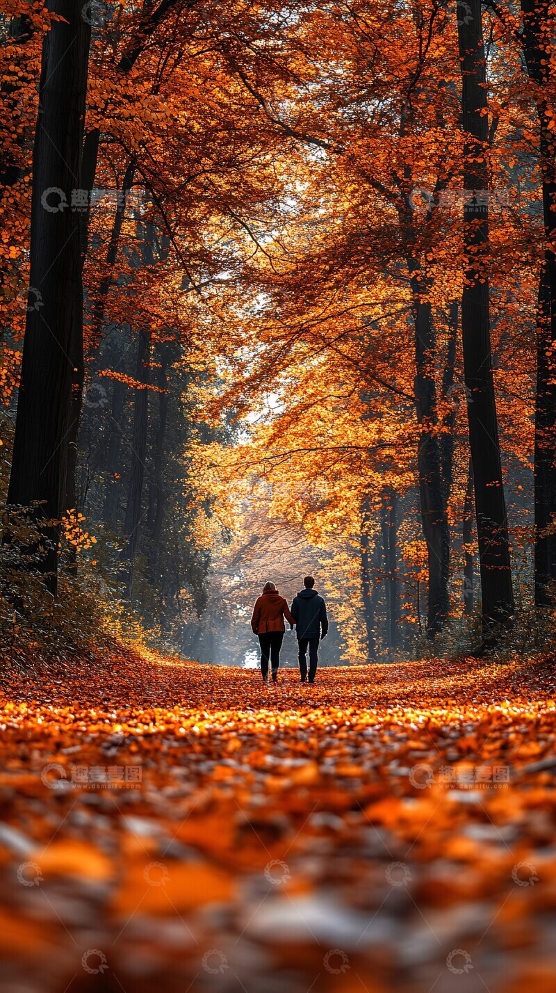 高清大图下载【趣麦麦图】秋日枫林小径