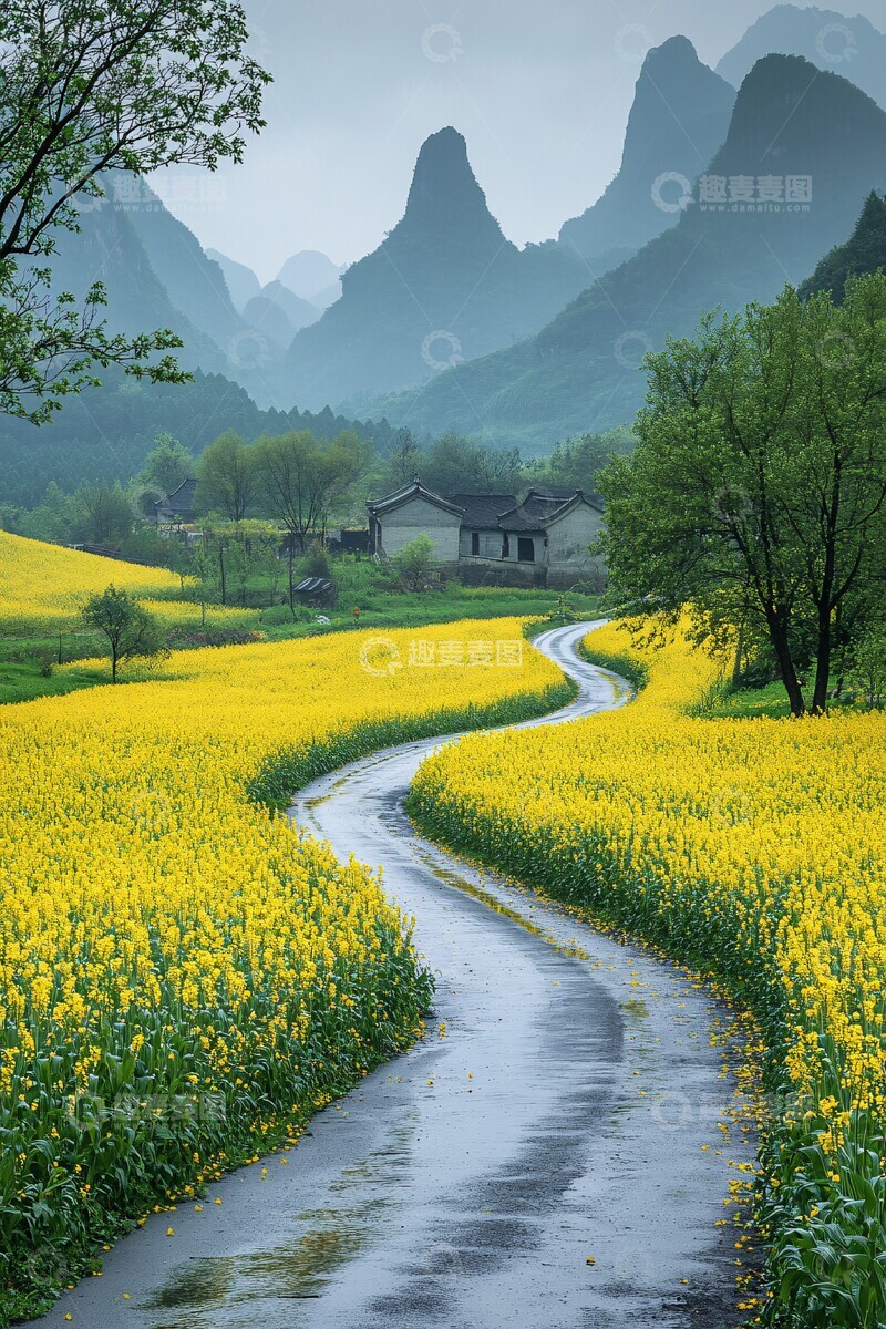 高清大图下载【趣麦麦图】油菜花路树远山2
