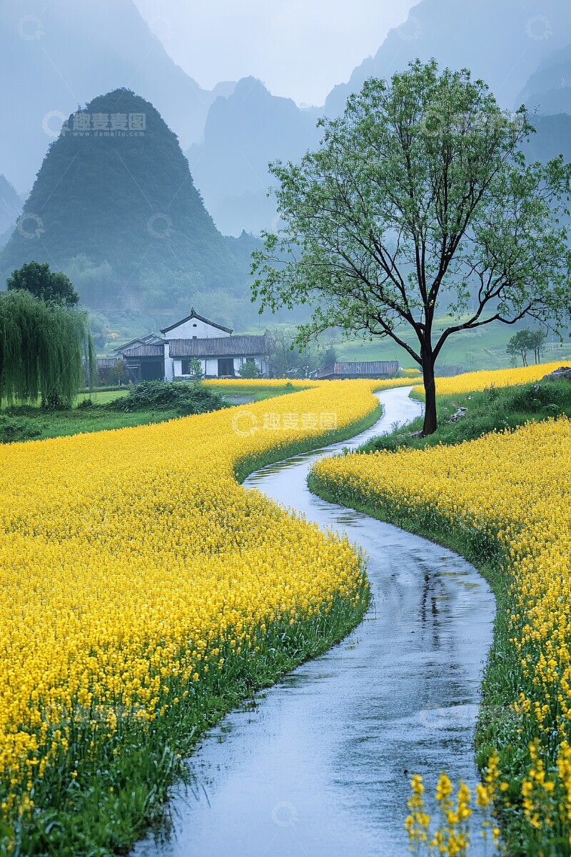 高清大图下载【趣麦麦图】油菜花路树远山1
