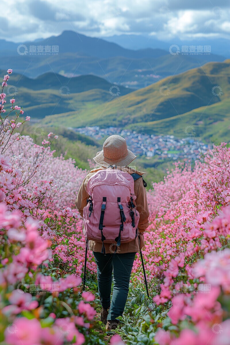 高清大图下载【趣麦麦图】油菜花田中的房屋1